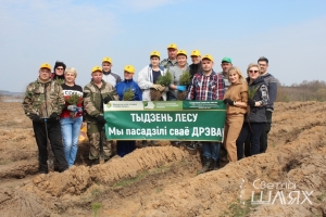 Возле деревни Рыбаки идёт посадка леса